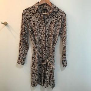 Ann Taylor Leopard Print Shirtdress